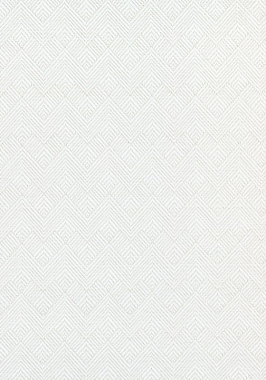 Ткань Thibaut Nomad Maddox W73332 (шир. 137 см)