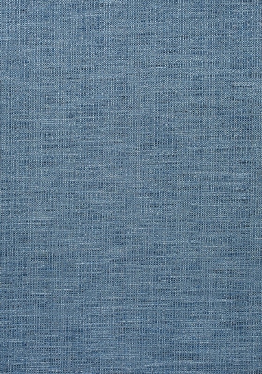 Ткань Thibaut Woven Resource 11-Rialto W80699