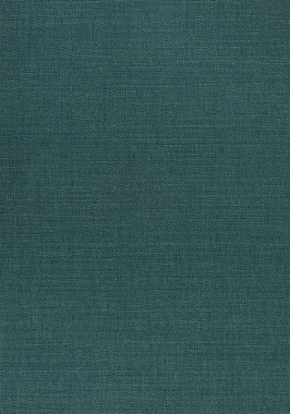 Ткань Thibaut Woven Resource 12 Prisma W70143 (шир.137 см)
