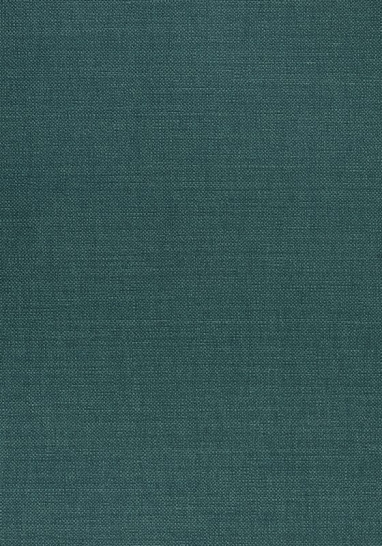 Ткань Thibaut Woven Resource 12 - Prisma W70143