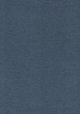 Ткань Thibaut Cadence Nala W74080 (шир.137 см)