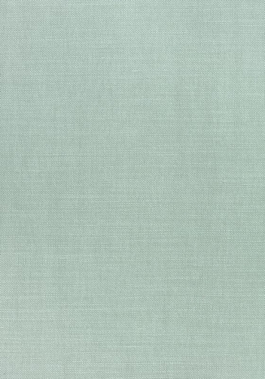 Ткань Thibaut Woven Resource 12 - Prisma W70148