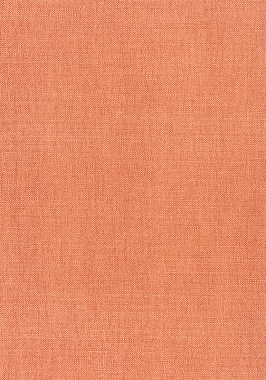 Ткань Thibaut Woven Resource 12 Prisma W70124 (шир.137 см)