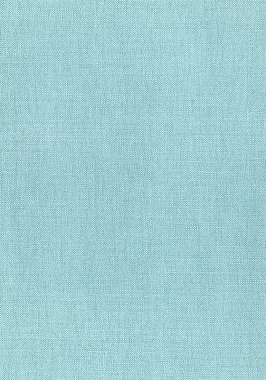 Ткань Thibaut Woven Resource 12 Prisma W70151 (шир.137 см)