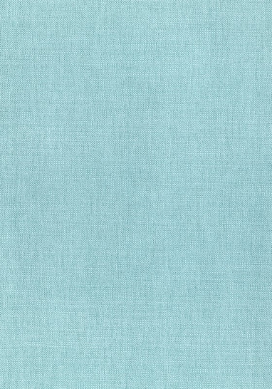 Ткань Thibaut Woven Resource 12 - Prisma W70151