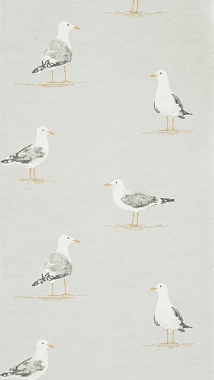 Обои Sanderson Port Isaac Shore Birds -  Gull 216565  (0.52*10.05)