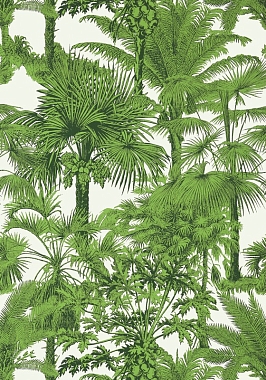 Обои Thibaut Tropics Palm Botanical T10103 (0,69*8,22)