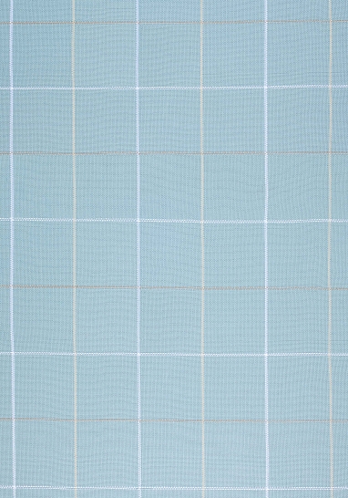 Ткань Thibaut Woven Resource 9-Stripes/Pla W80120