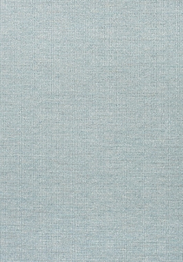 Ткань Thibaut Woven Resource 11-Rialto Dante W80698 (шир.137 см)