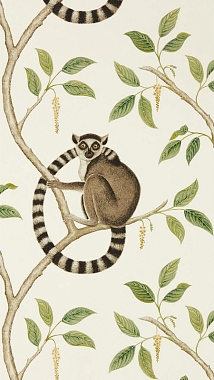 Обои  Sanderson Glasshouse Ringtailed Lemur Cream/Olive 216664