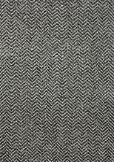 Ткань Thibaut Woven Resource 11-Rialto W80713