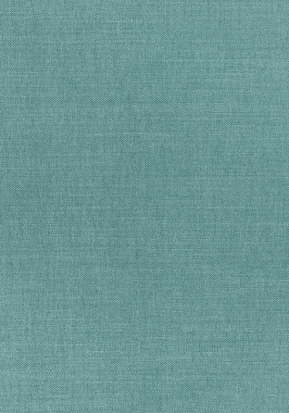 Ткань Thibaut Woven Resource 12 Prisma W70147 (шир.137 см)