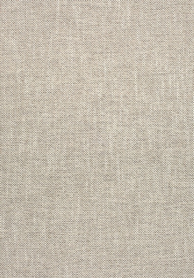 Ткань Thibaut Landmark Textures W73423