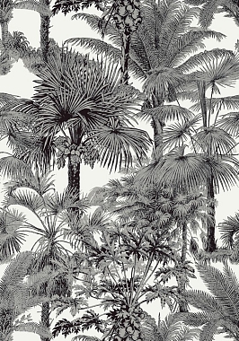 Обои Thibaut Tropics Palm Botanical T10102 (0,69*8,22)