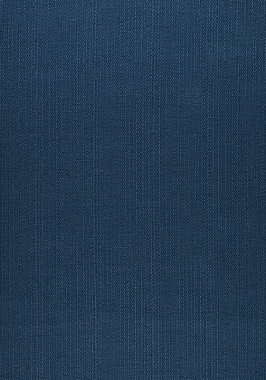 Ткань Thibaut Nomad Brooks W73370 (шир. 137 см)