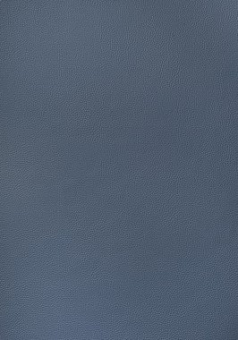 Ткань Thibaut Sierra Arcata W78395 (шир.137 см)