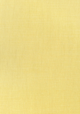 Ткань Thibaut Woven Resource 12 Prisma W70122 (шир.137 см)