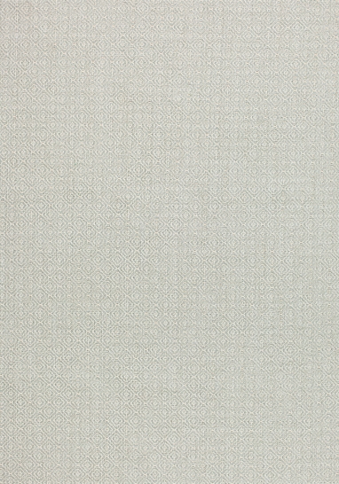 Ткань Thibaut Woven Resource 8-Luxe Texture W724108