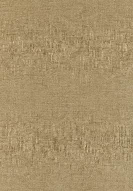 Ткань Thibaut W80286