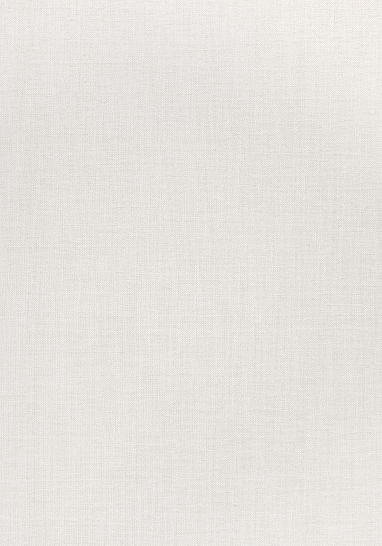 Ткань Thibaut Woven Resource 8-Luxe Texture W724109