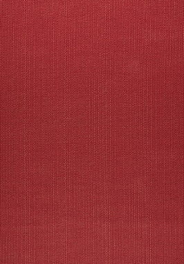 Ткань Thibaut Nomad Brooks W73372 (шир. 137 см)