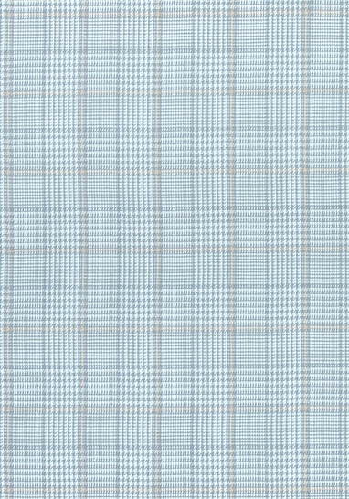 Ткань Thibaut Colony fabrics W710203