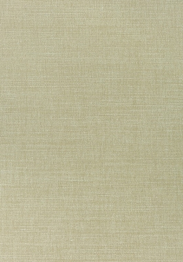 Ткань Thibaut Woven Resource 12 Prisma W70107 (шир.137 см)