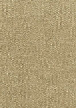 Ткань Thibaut W80245