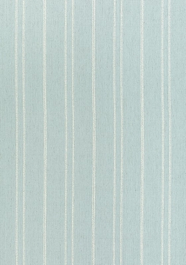 Ткань Thibaut Nomad Nolan Stripe W73310  (шир. 137 см)