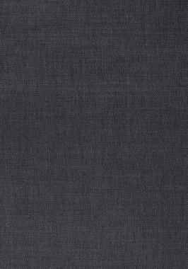 Ткань Thibaut Woven Resource 12 Prisma W70115 (шир.137 см)