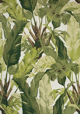 Ткань Thibaut Tropics Travelers Palm F910131 (шир.137 см)