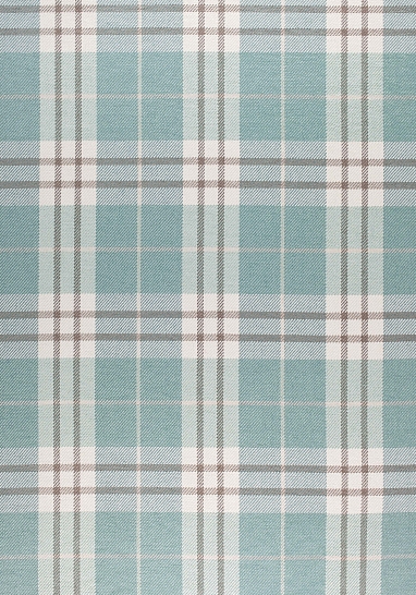 Ткань Thibaut Woven Resource 9-Stripes/Pla W80082