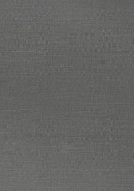 Ткань Thibaut Woven Resource 12 Prisma W70113 (шир.137 см)