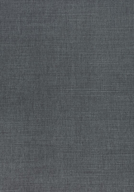 Ткань Thibaut Woven Resource 12 Prisma W70117 (шир.137 см)