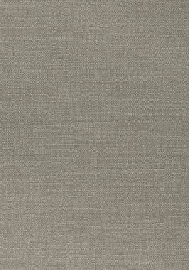 Ткань Thibaut Woven Resource 12 Prisma W70121 (шир.137 см)