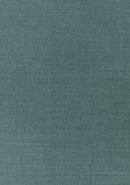 Ткань Thibaut Woven Resource 12 Prisma W70144 (шир.137 см)