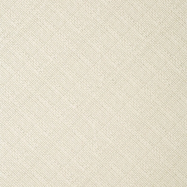 Обои Thibaut Texture Resource VIII Jackson Weave T14502 (0,66*8,53)